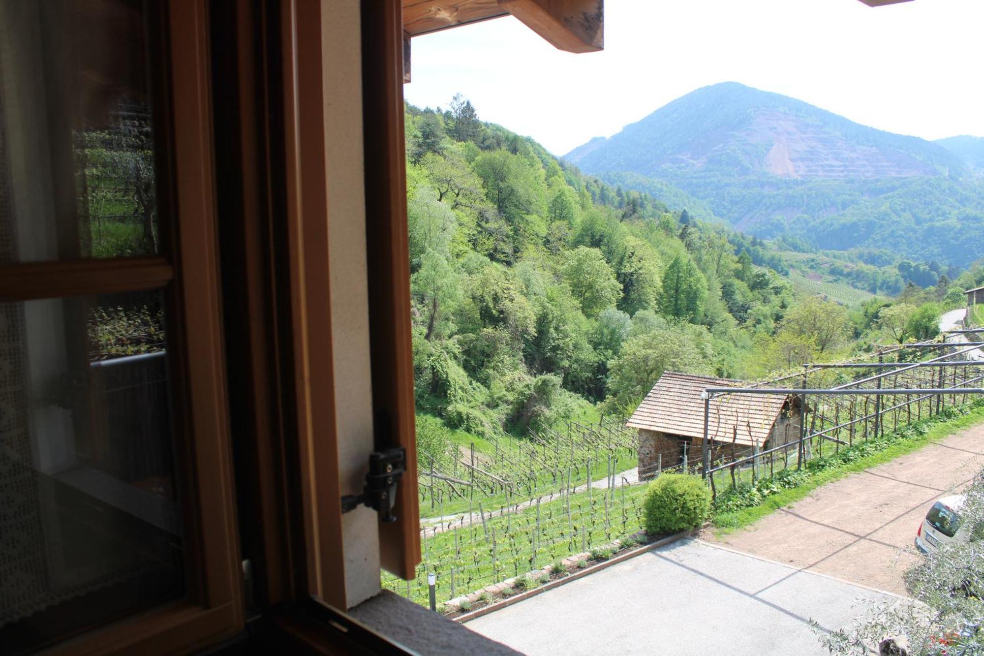 Agriturismo Valfraja Чембра Екстер'єр фото