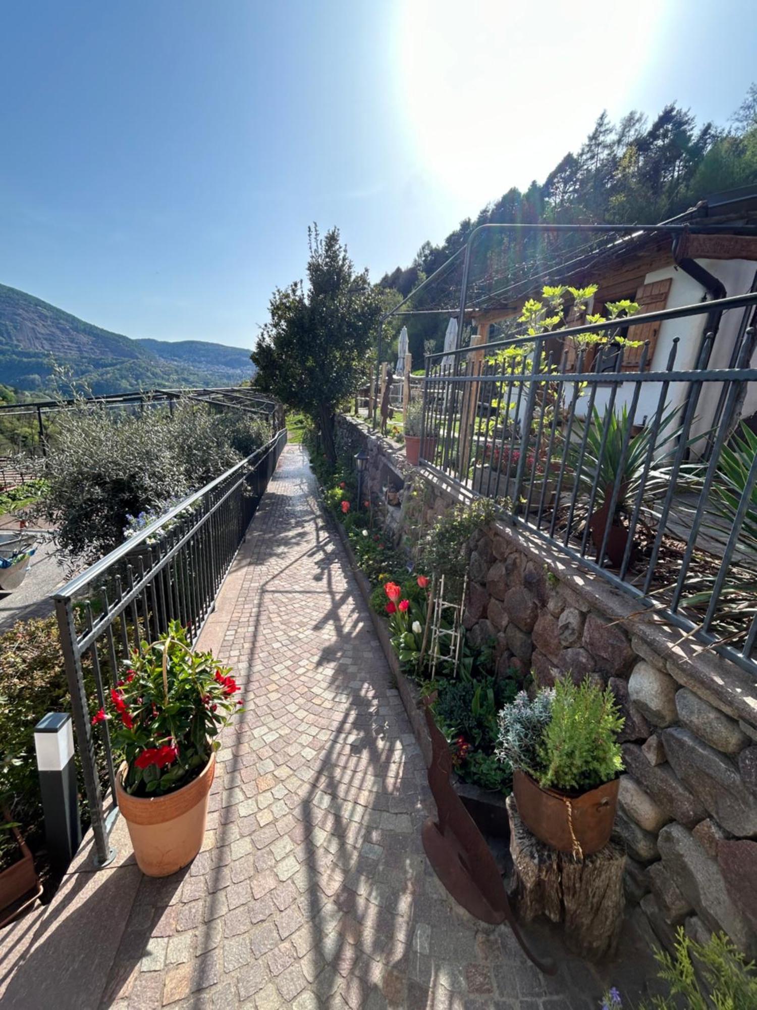 Agriturismo Valfraja Чембра Екстер'єр фото