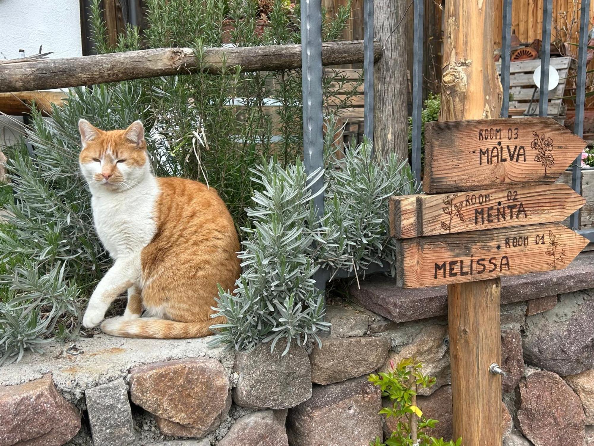Agriturismo Valfraja Чембра Екстер'єр фото